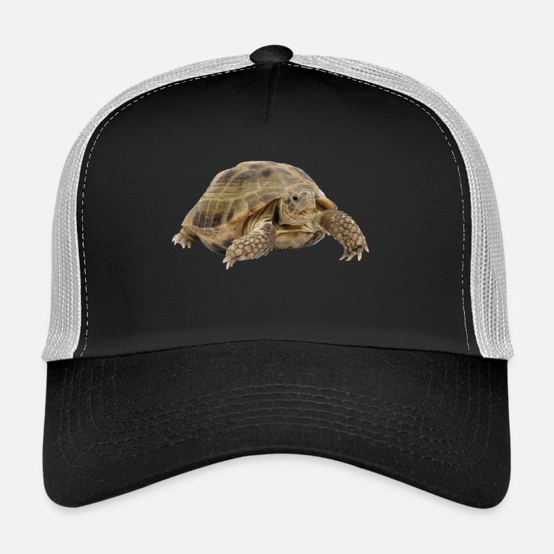 turtle schildkroete tiere animals7 - Trucker Cap - Schwarz/Steingrau