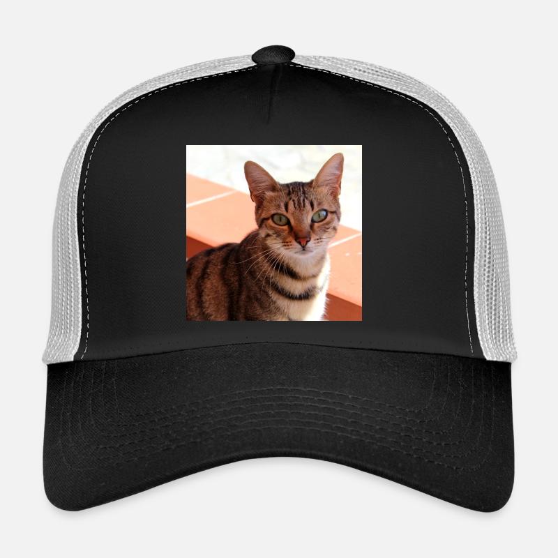 Katze Kätzchen Poster quadratisch Katzenposter Trucker Cap