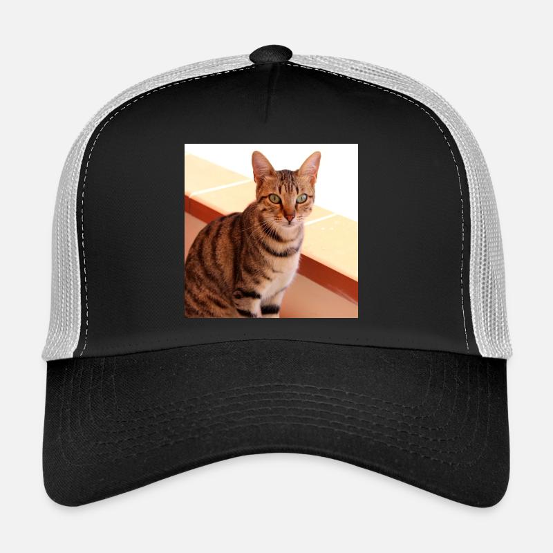Chat chaton affiche chat carré affiche Casquette trucker 