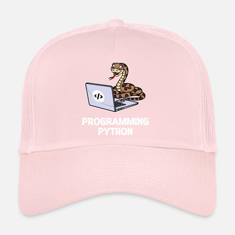 Scripting Programmer Computer Debug Developer Trucker Cap