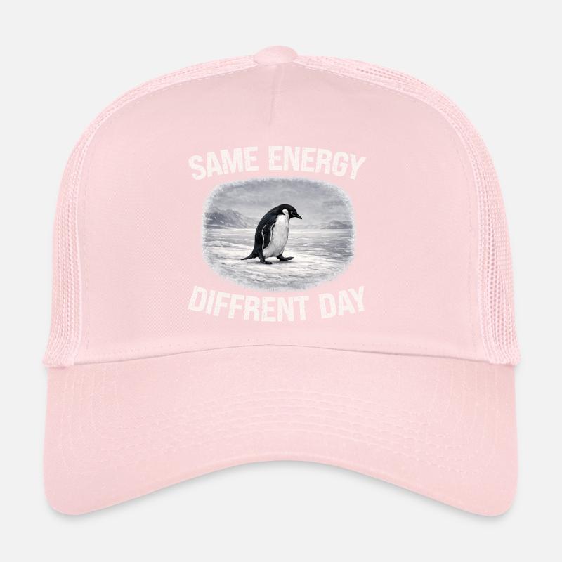 Same Energy Diffrent Day Trucker Cap