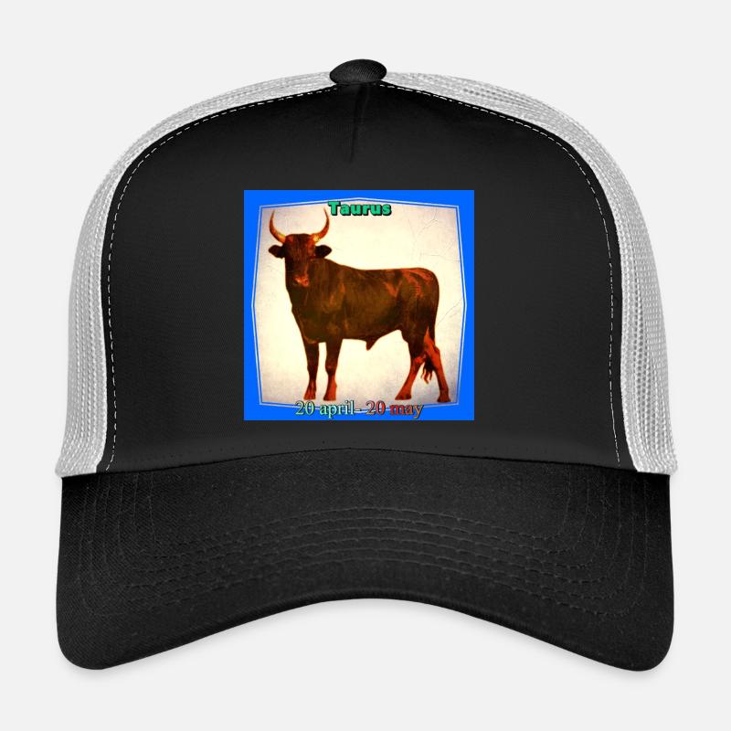 Stier Trucker Cap
