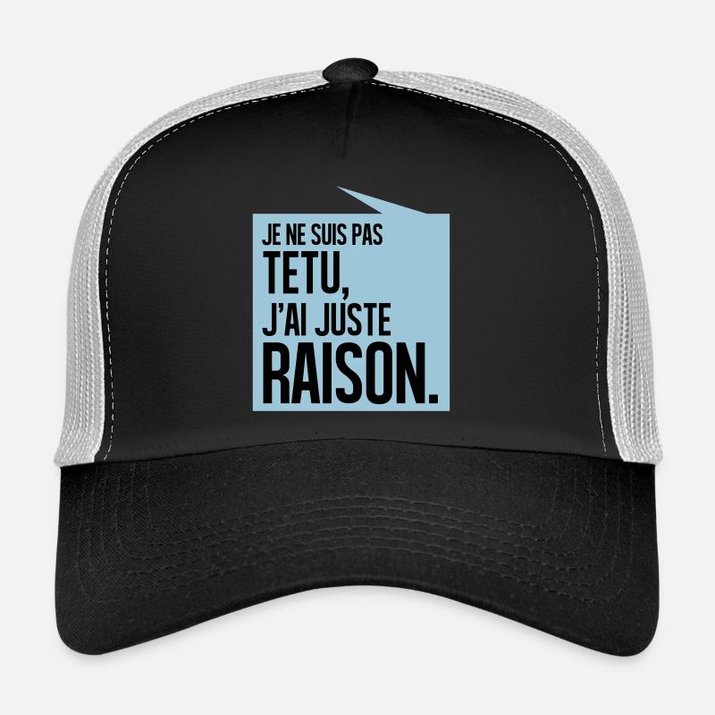 JE NE SUIS PAS TETU J'AI JUSTE RAISON - Casquette trucker - noir/gris pierre