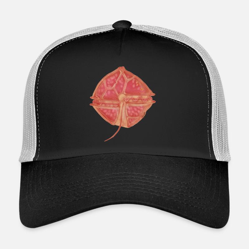 Alexandrium catanella - Trucker Cap - Schwarz/Steingrau