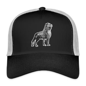 Löwenkopf Linienkunst Design - Trucker Cap - Schwarz/Steingrau - Vorne