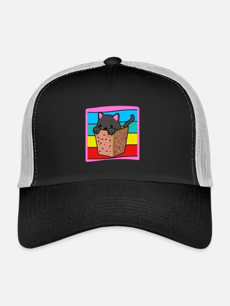 Katze in der Schachtel - Trucker Cap - Schwarz/Steingrau - Vorne