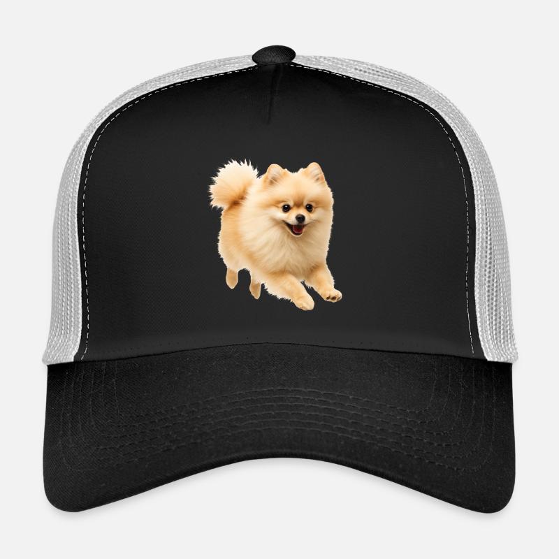 Spitz nain - Casquette trucker - noir/gris pierre