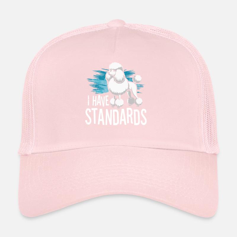I Have Standards Trucker Cap