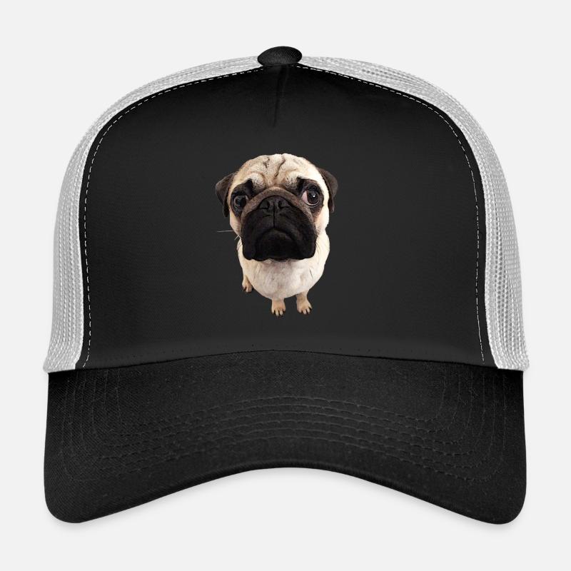 Pug views Trucker Cap