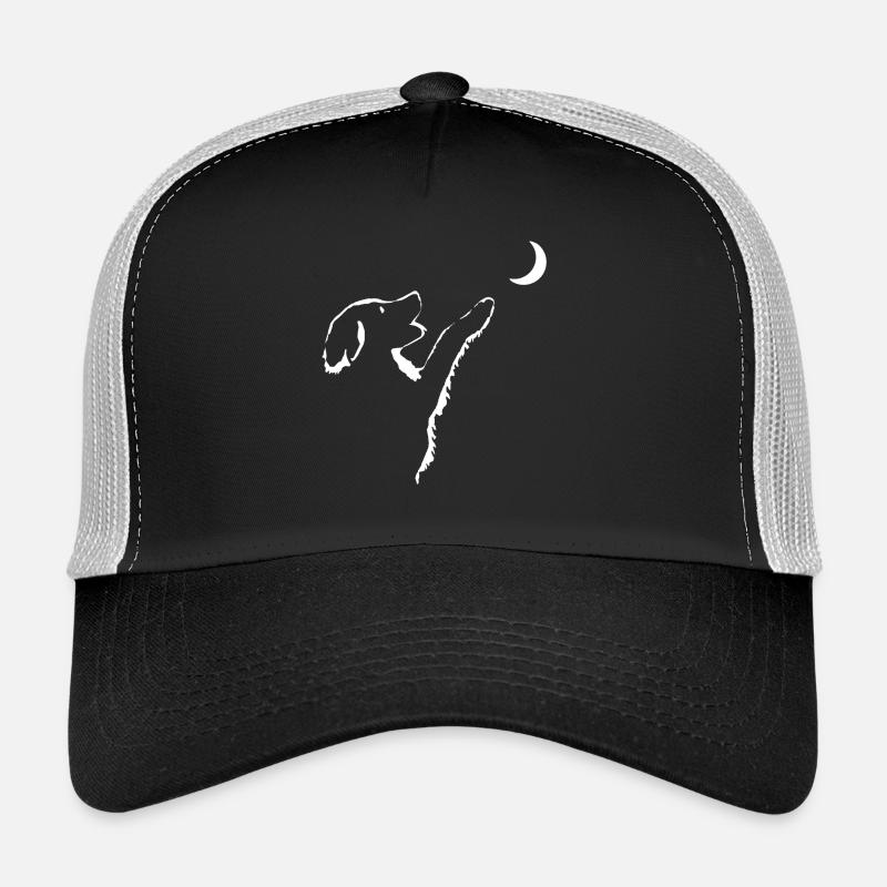 Hund schaut Mond an - Trucker Cap - Schwarz/Steingrau