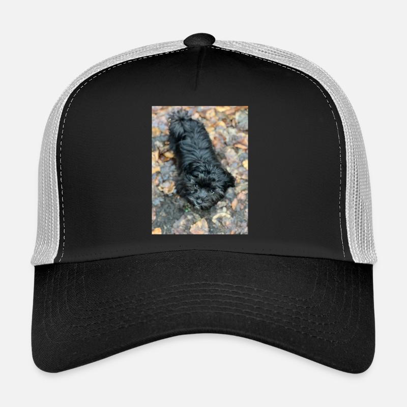 Havaneser forever - Trucker Cap - Schwarz/Steingrau