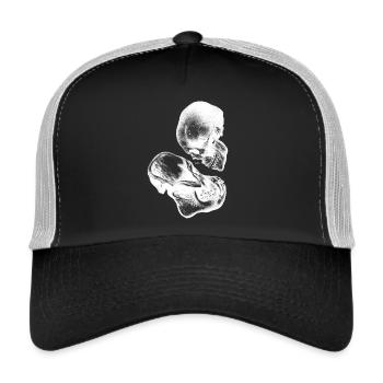 Echo of Evolution | Pulau Kreasi - Trucker Cap - Schwarz/Steingrau - Vorne