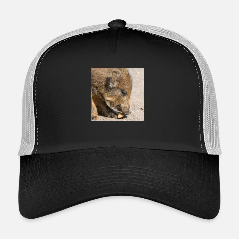 Sanglier (Sus scrofa) dans la forêt Casquette trucker 