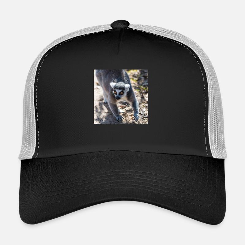 Katta (Lemur catta) - Trucker Cap - Schwarz/Steingrau