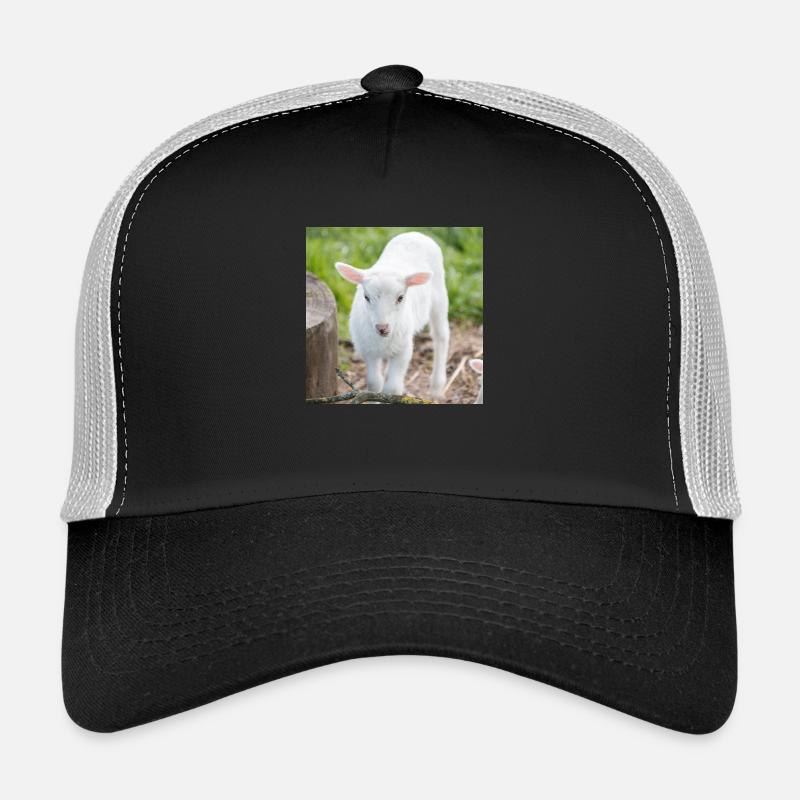 Lämmchen (Ovis) Lamm - Trucker Cap - Schwarz/Steingrau