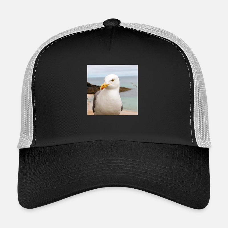 Silbermöwe (Larus argentatus) am Strand Herring Trucker Cap