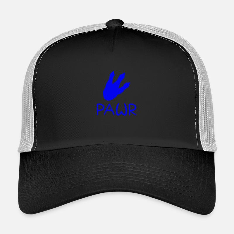 Pawr - Trucker Cap - Schwarz/Steingrau