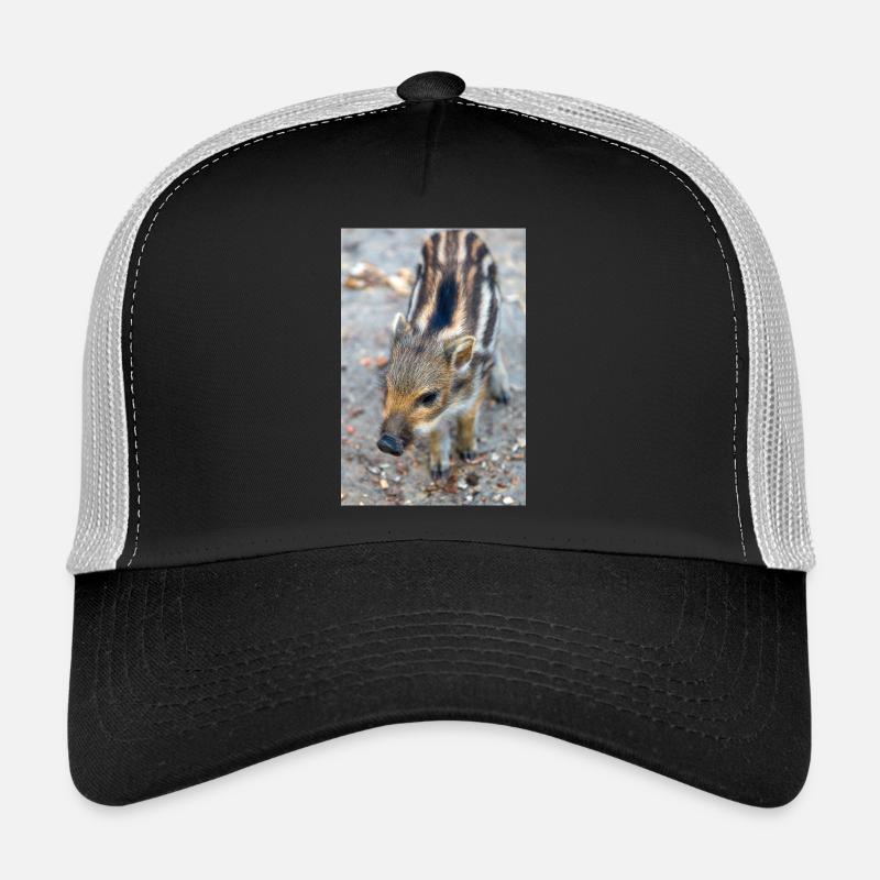 Frischling Wildschwein (Sus scrofa) im Wald - Trucker Cap - Schwarz/Steingrau
