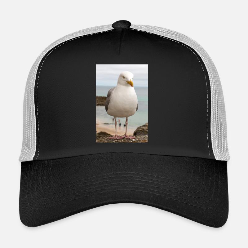 Silbermöwe (Larus argentatus) am Strand Gull Trucker Cap
