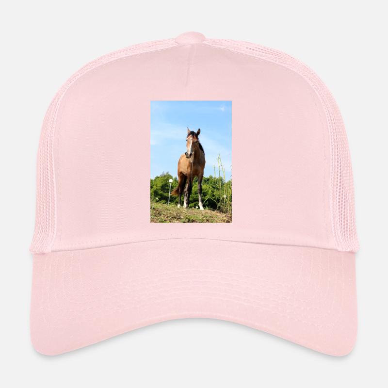 Affiche Cheval Cheval Casquette trucker 