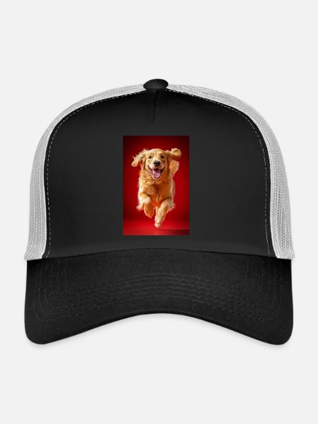 Joie dorée volante - Casquette trucker  - noir/gris pierre - Devant
