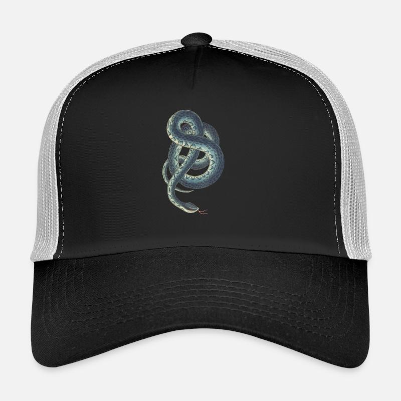 Illustration snake 3066876 2 - Trucker Cap - Schwarz/Steingrau