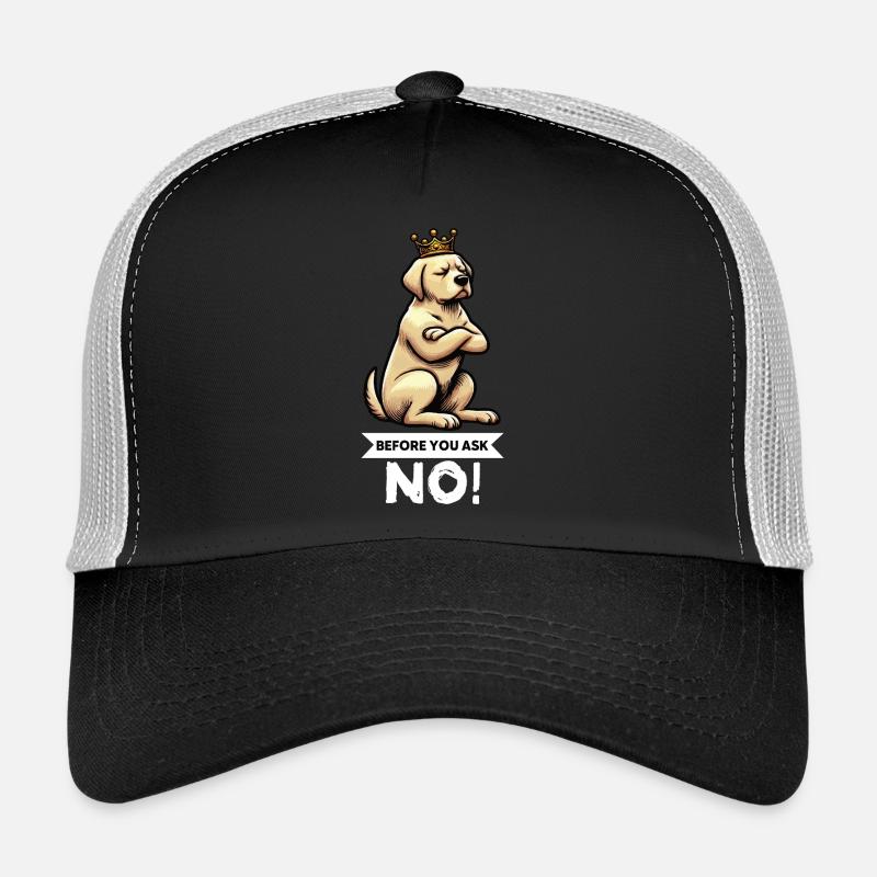 Before You Ask Labrador Labradorbesitzer Labradore - Trucker Cap - Schwarz/Steingrau