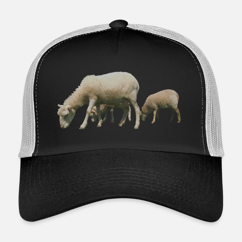 Schafe - Trucker Cap - Schwarz/Steingrau