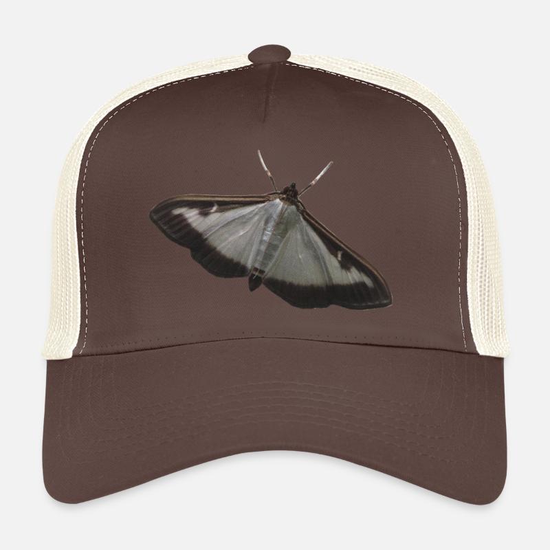 box tree moth - Trucker Cap - brown/beige