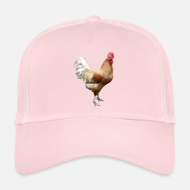 Coq Casquette trucker 