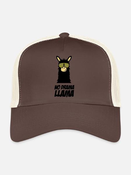 drama_llama_002 - Casquette trucker  - marron/beige - Devant