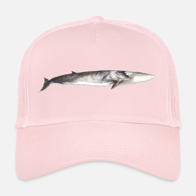 Rorqual commun Balaenoptera physalus Casquette trucker 