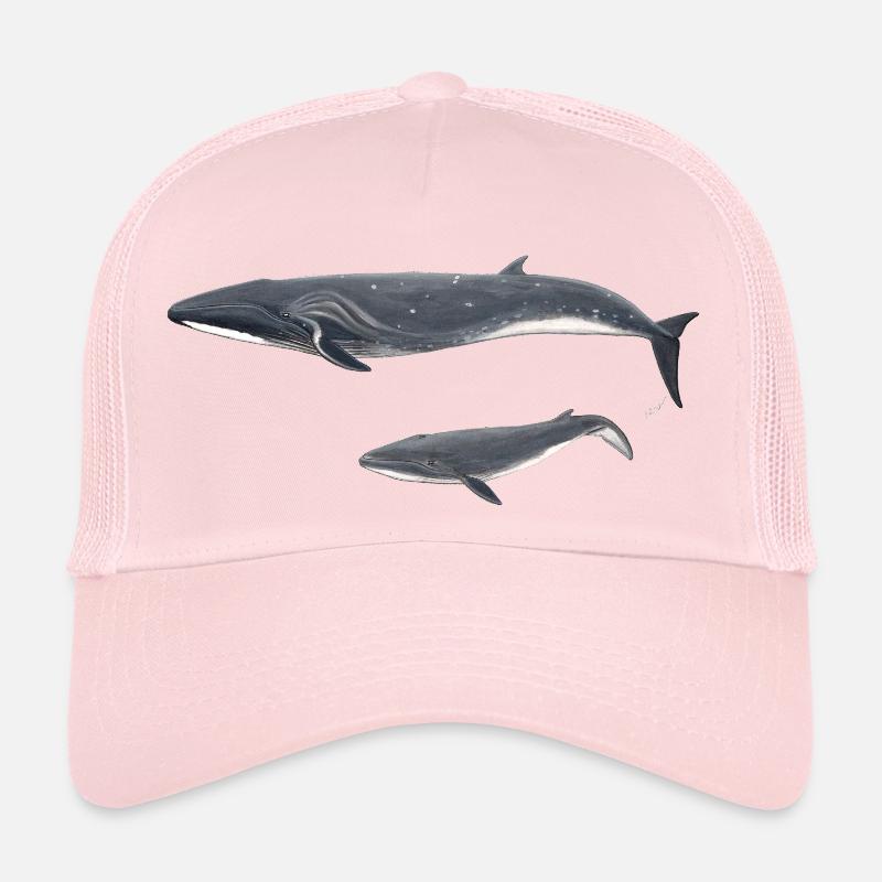 Baleine boréale boréale rorquale Casquette trucker 