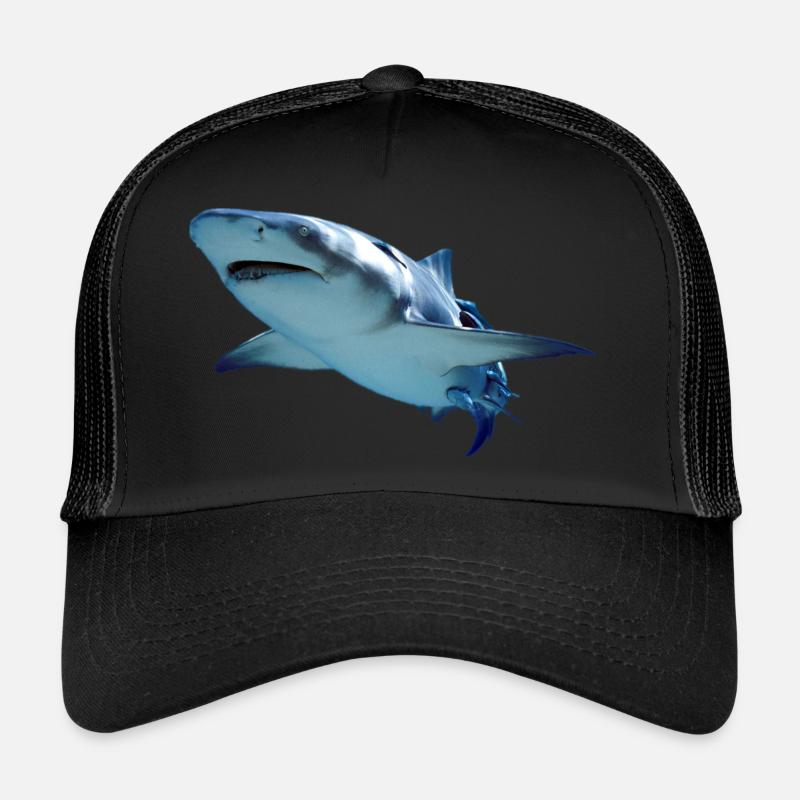 requin Casquette trucker 