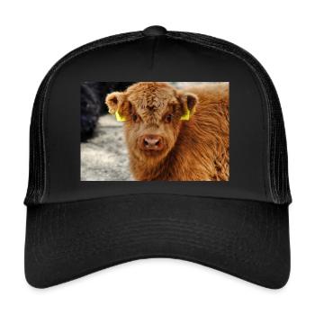 Kälbchen - Schottische Hochlandrinder - Trucker Cap - Schwarz/Schwarz - Vorne