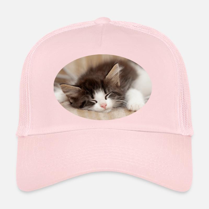 Chat endormi Casquette trucker 