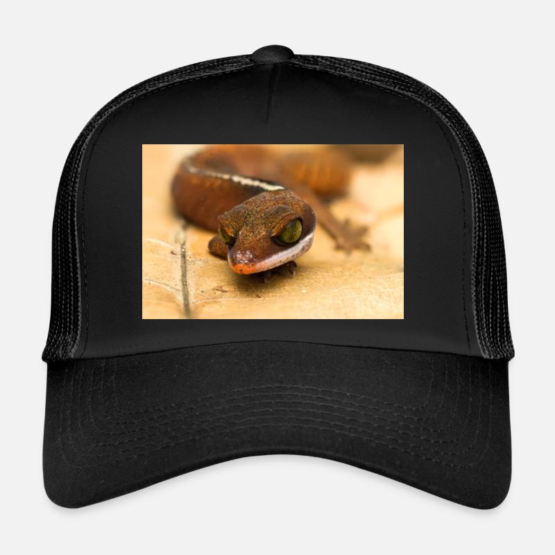 Aeluroscalabotes cf dorsalis - Malaysian Cat Gecko Trucker Cap
