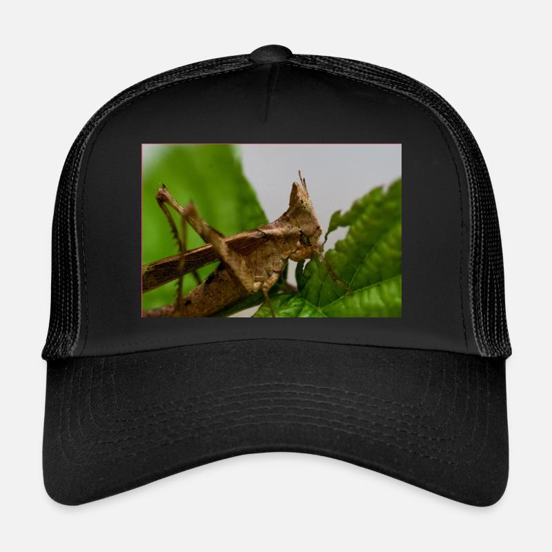 Erianthus versicolor - Monkey Grasshopper Trucker Cap