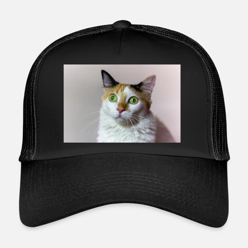 le chat Casquette trucker 