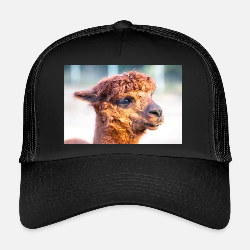 Alpaka Vicugna pacos Trucker Cap