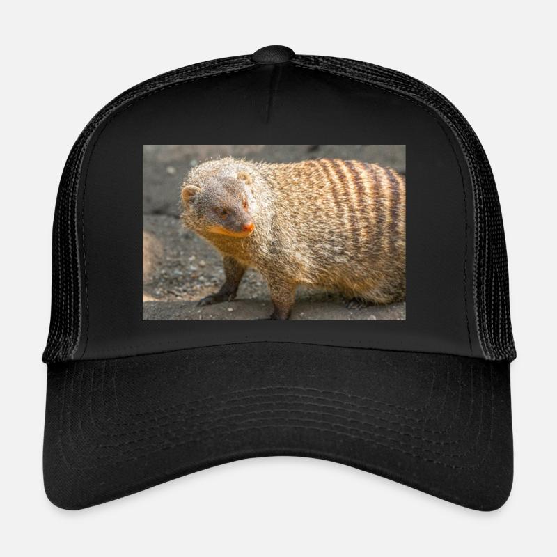 Banded Mongoose or Zebra Mongoose Trucker Cap