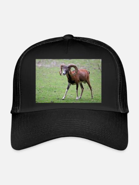 European mouflon Europäischer Mufflon - Trucker Cap - black/black - Front