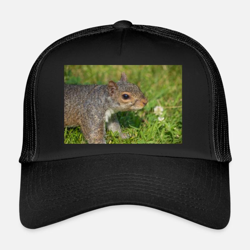 Grey squirrel Grauhörnchen Sciurus carolinensis Trucker Cap