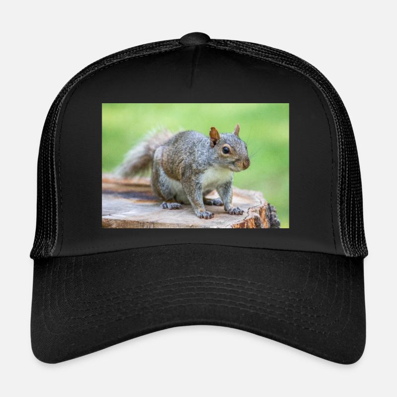 Grey squirrel Grauhörnchen Sciurus carolinensis Trucker Cap