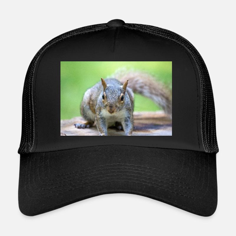 Grey squirrel Grauhörnchen Sciurus carolinensis Trucker Cap