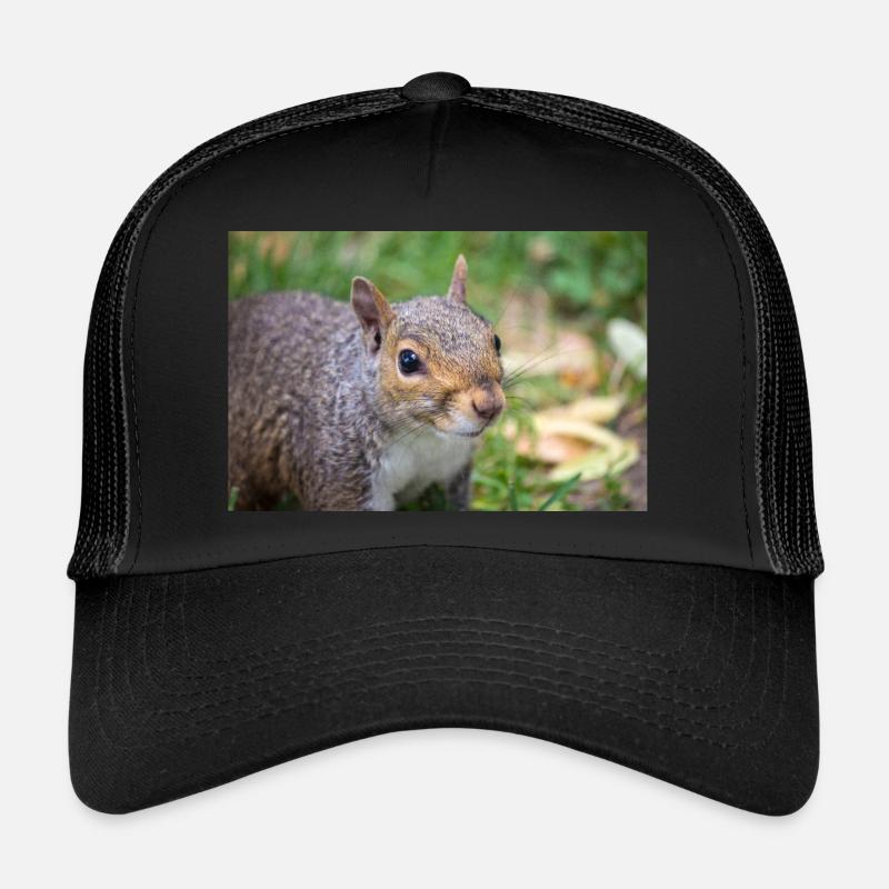 Grey squirrel (in german Grauhörnchen) Sciurus Trucker Cap