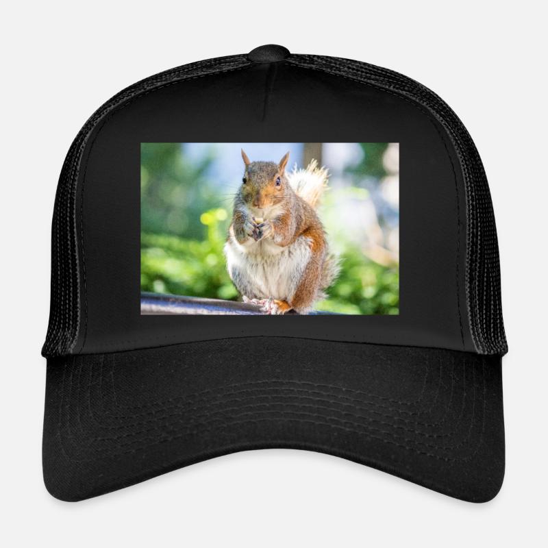 Eating Grey squirrel Grauhörnchen Sciurus carolin Trucker Cap