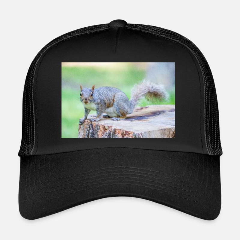 Grey squirrel Grauhörnchen Sciurus carolinensis Trucker Cap