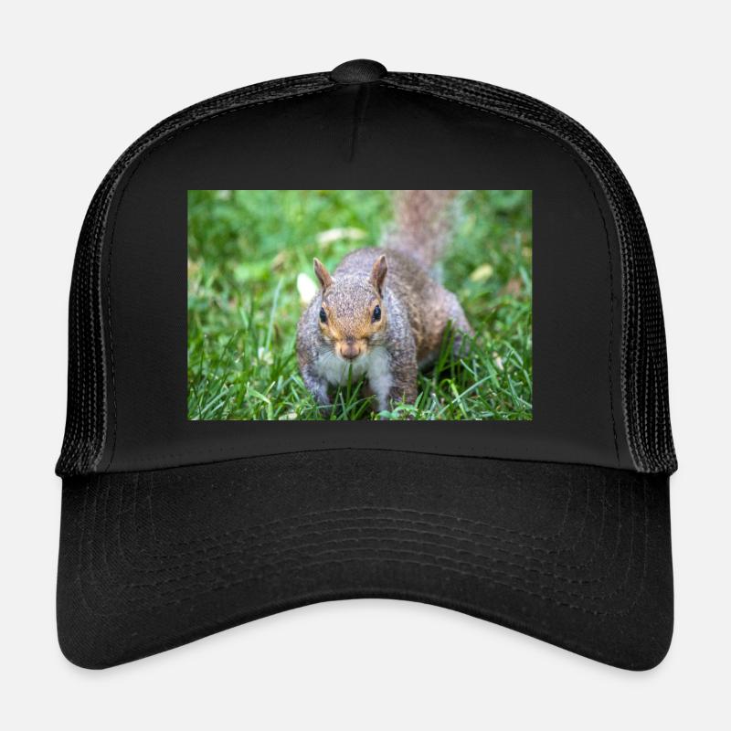 Grey squirrel Grauhörnchen Sciurus carolinensis Trucker Cap