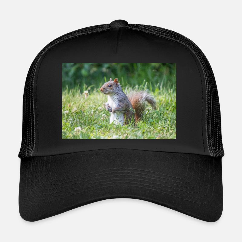 stehendes Grauhörnchen (Sciurus carolinensis) grey - Trucker Cap - Schwarz/Schwarz